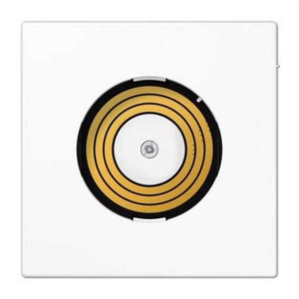 JUNG PLLSDMSWW Placa central P&L serie LS990 con DMS blanco alpino