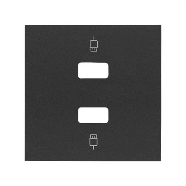 SIMON 10001090-238 Tapa SIMON 100 para 2 conectores USB y 2 módulos negro mate