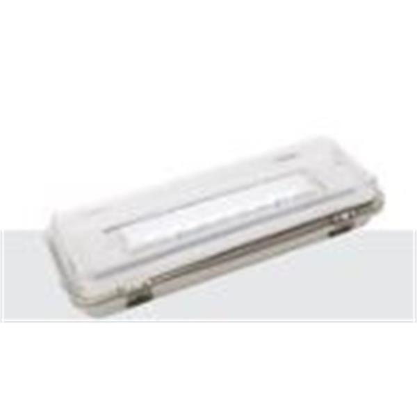 NORMALUX GA-60L Luminaria emergencia GS LED 70lm 1h no permanente blanco