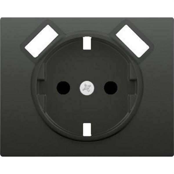 BJC 18724-USB-AT Tapa base enchufe seguridad 2 USB serie Iris negro antracita
