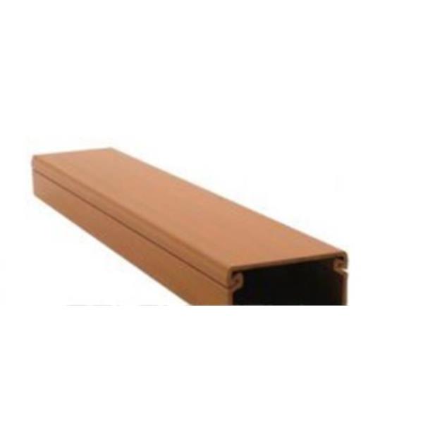 ALVICO 5219 Canaleta 2m 50x10mm/canal suelo sapeli