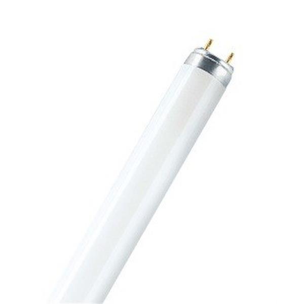 OSRAM 4050300010557 Lámpara NATURA L36W/76-1 diámetro 26mm
