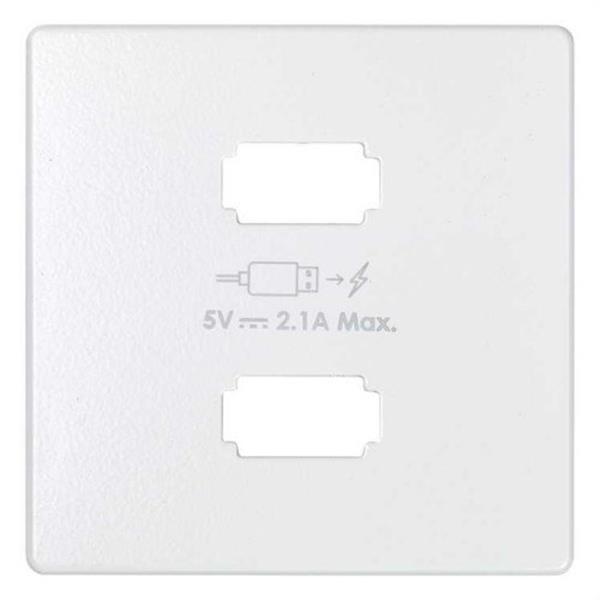 SIMON 8211096-090 Placa cargador SIMON 82 2xUSB 5V DC 2.1 tipo A blanco mate