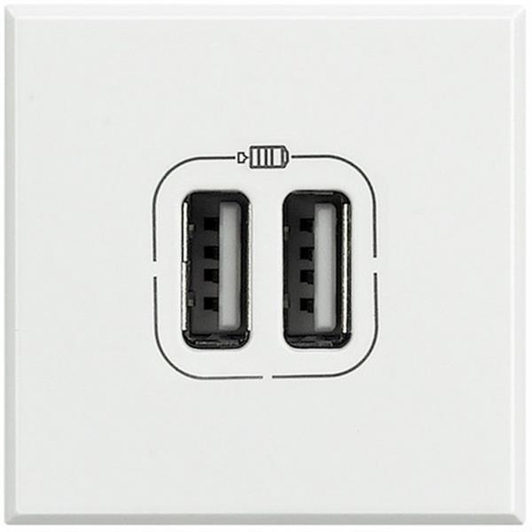 BTICINO HD4285C2 Base USB AX 1550mA/5V con 2 módulos en color blanco
