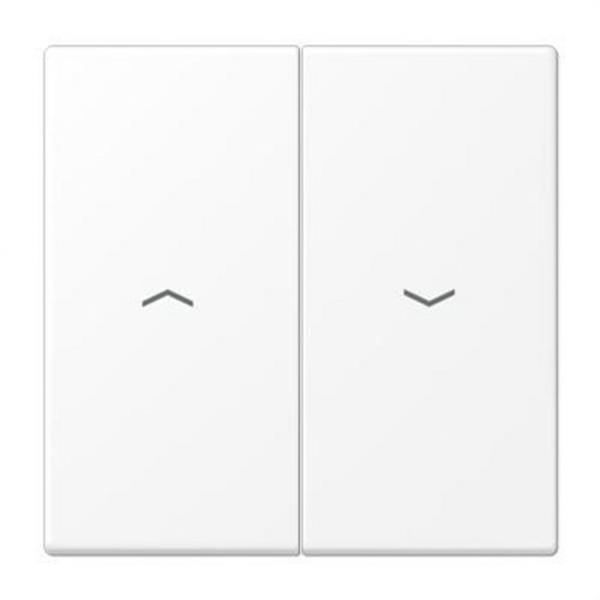 JUNG LS995PWWM Tecla x1 con flechas LS blanco mate
