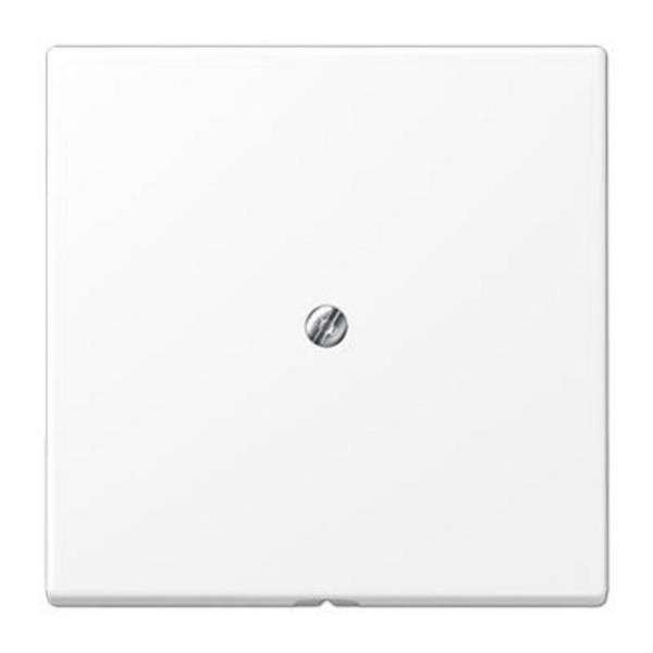 JUNG LS990AWWM Placa central salida cable LS blanco mate