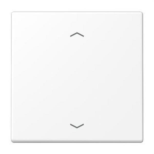 JUNG LS990PWWM Tecla x1 con flechas LS blanco mate