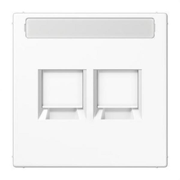 JUNG LS1969-2NAWEWW Placa modular Jack-Radiall 2 tomas LS1969-2NAWEWW LS blanco alpino