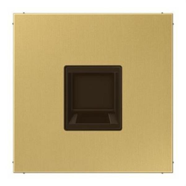JUNG ME1969-15WEC Placa modular Jack 1 toma LS latón claro