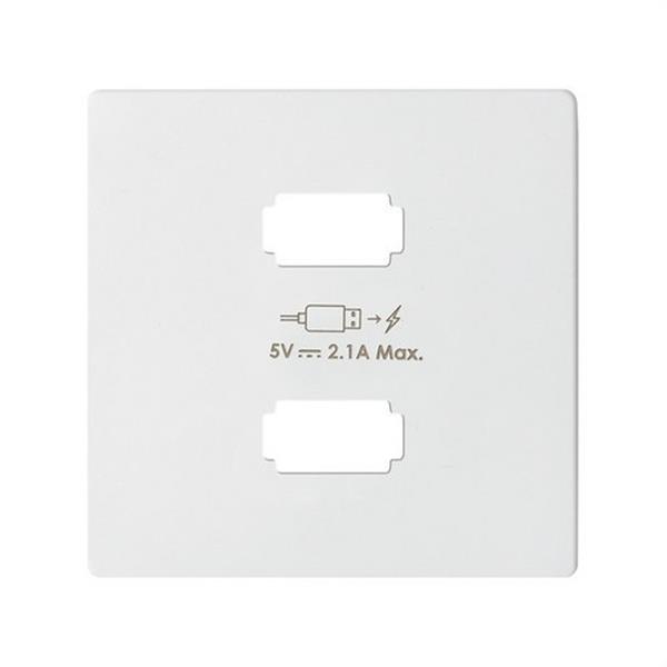 SIMON 8221096-090 Placa cargador SIMON 82 CONCEPT 2xUSB 5V 2,1A blanco mate