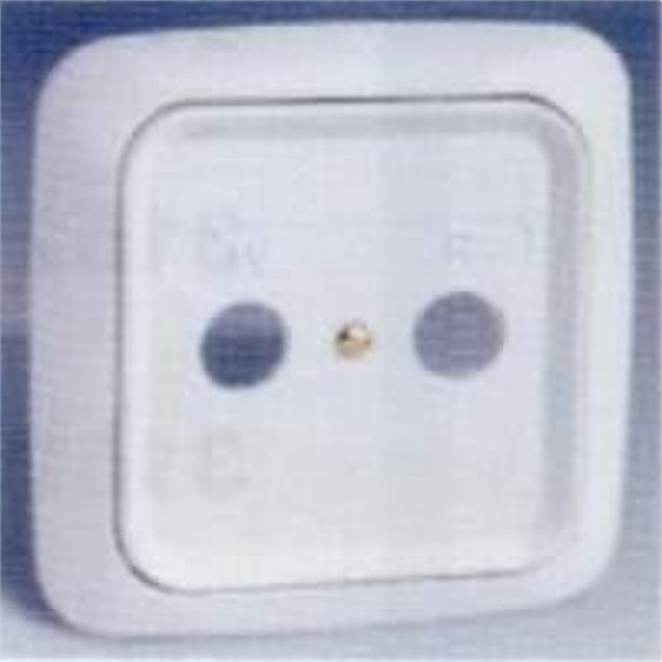 SIMON 31066-34 PLACA CON MARCO TOMA R-TV SERIE 31 CAVA