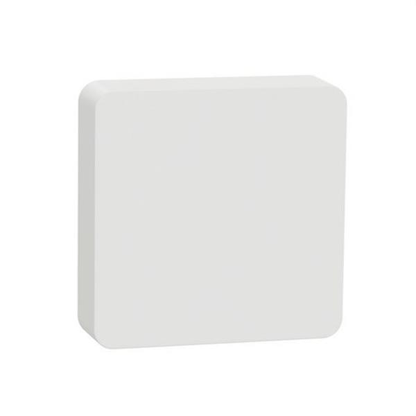 SCHNEIDER ELECTRIC CCT593011 Sensor de temperatura / humedad Wiser