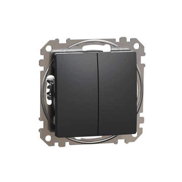 SCHNEIDER ELECTRIC SDD114105 Interruptor doble 10AX antracita