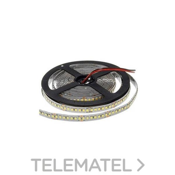 QUOLED 00724-19W-WW13 TIRA SMD3528 24V 19W/M IP20 240 LEDs LUZ CALIDA