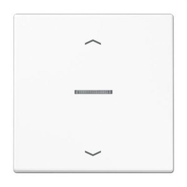 JUNG BTLS17101PWW Tecla JUNG HOME persianas 1 fase Serie LS blanco alpino