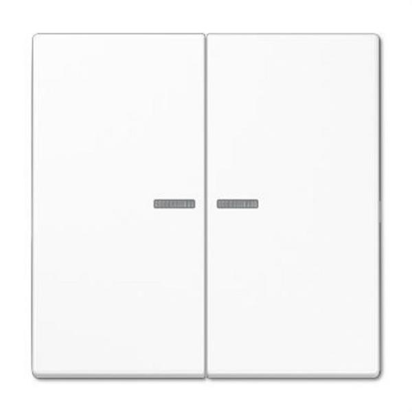 JUNG BTLS17102WW Tecla JUNG HOME 2 fases Serie LS blanco alpino