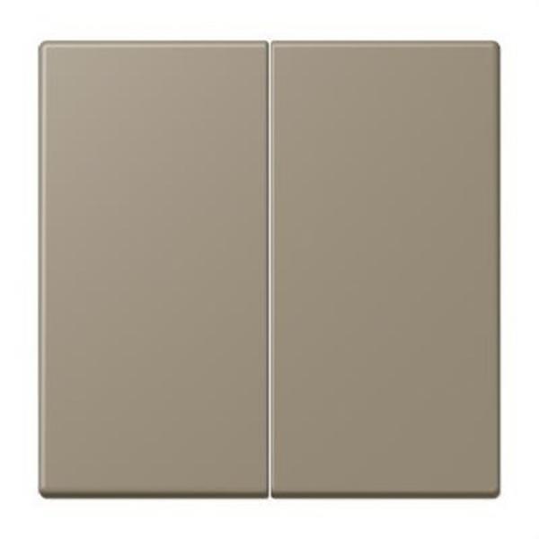 JUNG LC995242 Tecla doble LC32141 tono medio natural