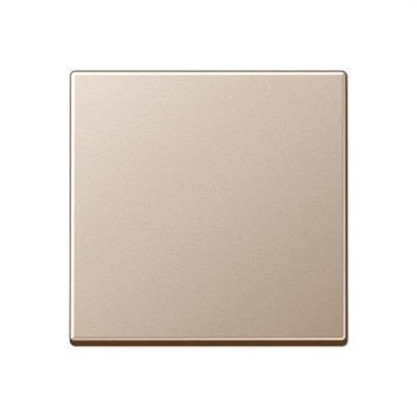JUNG A590CH Tecla A500 para mecanismo simple cava