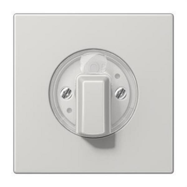 JUNG LS1941LG Placa central interruptor gris claro