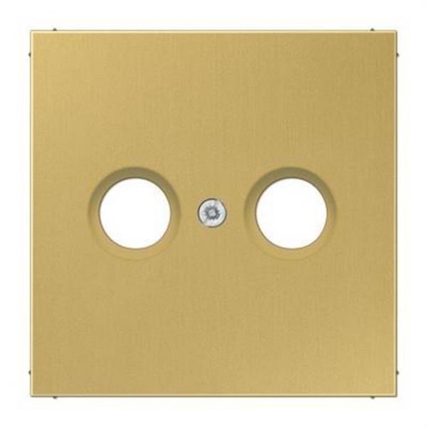JUNG ME2990TVC Placa para bases antena TV latón classic