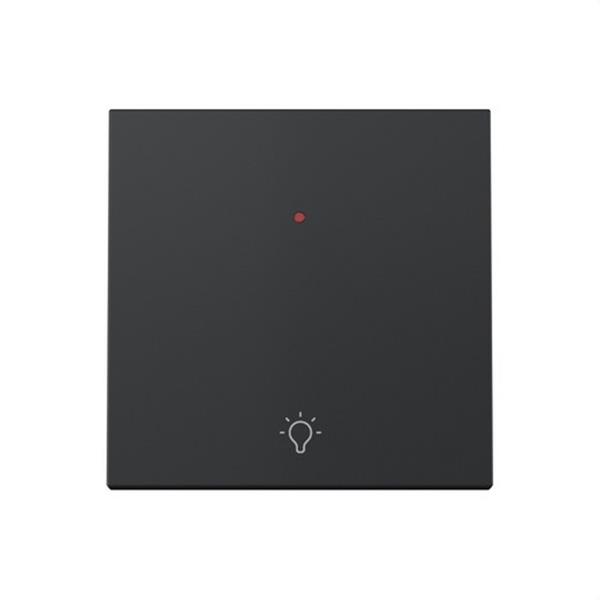 SIMON 36010016-098 Tecla individual con visor y grabado de luz pulsante Serie 360 negro